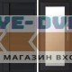 Входная дверь  Smart (Смарт) Black Line Зеркало триумф венге